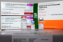 Até o momento, as vacinas distribuídas ao Paraná, que segue o PNI, foram CoronaVac, AstraZeneca e Pfizer. Foto:Américo Antonio/SESA