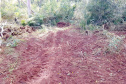 O Batalhão de Polícia Ambiental-Força Verde (BPAmb-FV) e o Instituto Água e Terra (IAT) divulgaram, nesta quarta-feira (22) o balanço final da Operação Esperança, planejada para flagrar crimes ambientais contra a flora