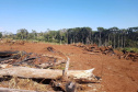 O Batalhão de Polícia Ambiental-Força Verde (BPAmb-FV) e o Instituto Água e Terra (IAT) divulgaram, nesta quarta-feira (22) o balanço final da Operação Esperança, planejada para flagrar crimes ambientais contra a flora