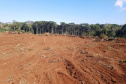 O Batalhão de Polícia Ambiental-Força Verde (BPAmb-FV) e o Instituto Água e Terra (IAT) divulgaram, nesta quarta-feira (22) o balanço final da Operação Esperança, planejada para flagrar crimes ambientais contra a flora