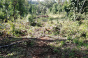 O Batalhão de Polícia Ambiental-Força Verde (BPAmb-FV) e o Instituto Água e Terra (IAT) divulgaram, nesta quarta-feira (22) o balanço final da Operação Esperança, planejada para flagrar crimes ambientais contra a flora