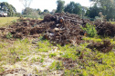 O Batalhão de Polícia Ambiental-Força Verde (BPAmb-FV) e o Instituto Água e Terra (IAT) divulgaram, nesta quarta-feira (22) o balanço final da Operação Esperança, planejada para flagrar crimes ambientais contra a flora