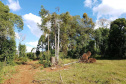 O Batalhão de Polícia Ambiental-Força Verde (BPAmb-FV) e o Instituto Água e Terra (IAT) divulgaram, nesta quarta-feira (22) o balanço final da Operação Esperança, planejada para flagrar crimes ambientais contra a flora