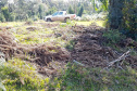 O Batalhão de Polícia Ambiental-Força Verde (BPAmb-FV) e o Instituto Água e Terra (IAT) divulgaram, nesta quarta-feira (22) o balanço final da Operação Esperança, planejada para flagrar crimes ambientais contra a flora
