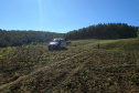 O Batalhão de Polícia Ambiental-Força Verde (BPAmb-FV) e o Instituto Água e Terra (IAT) divulgaram, nesta quarta-feira (22) o balanço final da Operação Esperança, planejada para flagrar crimes ambientais contra a flora