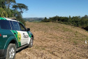 O Batalhão de Polícia Ambiental-Força Verde (BPAmb-FV) e o Instituto Água e Terra (IAT) divulgaram, nesta quarta-feira (22) o balanço final da Operação Esperança, planejada para flagrar crimes ambientais contra a flora