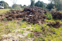 O Batalhão de Polícia Ambiental-Força Verde (BPAmb-FV) e o Instituto Água e Terra (IAT) divulgaram, nesta quarta-feira (22) o balanço final da Operação Esperança, planejada para flagrar crimes ambientais contra a flora