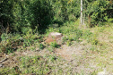 O Batalhão de Polícia Ambiental-Força Verde (BPAmb-FV) e o Instituto Água e Terra (IAT) divulgaram, nesta quarta-feira (22) o balanço final da Operação Esperança, planejada para flagrar crimes ambientais contra a flora