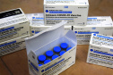 O Governo do Estado recebeu 439.340 vacinas contra a Covid-19 na tarde desta quinta-feira. Este é o primeiro lote com vacinas do braço farmacêutico da Johnson & Johnson. Foto: Américo Antonio/Sesa