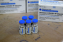 O Governo do Estado recebeu 439.340 vacinas contra a Covid-19 na tarde desta quinta-feira. Este é o primeiro lote com vacinas do braço farmacêutico da Johnson & Johnson. Foto: Américo Antonio/Sesa
