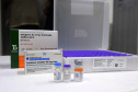 O Governo do Estado recebeu 439.340 vacinas contra a Covid-19 na tarde desta quinta-feira. Este é o primeiro lote com vacinas do braço farmacêutico da Johnson & Johnson. Foto: Américo Antonio/Sesa