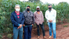 Pesquisador da Embrapa adianta que haverá lançamento da variedade BRS 429, com mais cor, sabor e mais saudável
