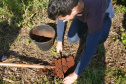 Pesquisa ajuda o Paraná a ser referência nacional no agronegócio
Foto: Professora Lutécia Beatriz dos Santos Canalli