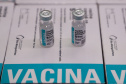 São 277.250 do imunizante Covishield, da parceria Fiocruz/AstraZeneca, e 84.240 da Comirnaty, da Pfizer/BioNtech. As novas vacinas darão continuidade à vacinação do público em geral e dos grupos prioritários no Paraná. Foto: Ari Dias/AEN