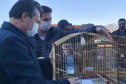 O Escritório Regional do Instituto Água e Terra (IAT) de Umuarama, no Noroeste do Estado, realizou a apreensão e a soltura de mais de 250 aves. O o secretário da pasta, Márcio Nunes, participou da soltura de 17 aves, entre Trinca Ferro, Coleirinha, Patativa, Canário Terra, Melrol, Sabiá, Irauna Grande, e Curió.  -  Umuarama, 29/06/2021  -  Foto: SEDEST/IAT