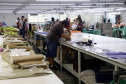 Outra marca de destaque internacional também tem origem paranaense. O Grupo Morena Rosa foi fundado em Cianorte, no Noroeste do Estado, cidade conhecida como capital do vestuário. Hoje, a empresa tem cerca de 6 mil pontos de venda espalhados por 1,7 mil cidades brasileiras, e exporta suas confecções para 12 países. Foto: Ari Dias/AEN
