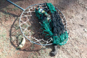 IAT resgata macaco-prego machucado em Paranavaí e alerta para o descarte de resíduos  Foto: IAT