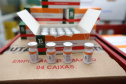 Estado começa a distribuir 85 mil vacinas contra a Covid-19 para primeira dose
Foto  Geraldo Bubniak/AEN