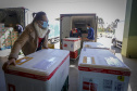29/07/2021 - Distribuição de vacinas para Regionais
Foto Gilson Abreu/AEN