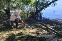 Nesta sexta-feira (30), 115 quilos de lixo foram recolhidos do manguezal, na Ilha do Teixeira, em Paranaguá. A ação integra o Programa de Monitoramento de Manguezais da Portos do Paraná. Foto: Pierpaolo Nota/ Portos do Paraná