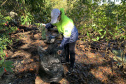 Nesta sexta-feira (30), 115 quilos de lixo foram recolhidos do manguezal, na Ilha do Teixeira, em Paranaguá. A ação integra o Programa de Monitoramento de Manguezais da Portos do Paraná. Foto: Pierpaolo Nota/ Portos do Paraná