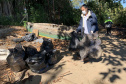 Nesta sexta-feira (30), 115 quilos de lixo foram recolhidos do manguezal, na Ilha do Teixeira, em Paranaguá. A ação integra o Programa de Monitoramento de Manguezais da Portos do Paraná. Foto: Pierpaolo Nota/ Portos do Paraná