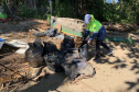Nesta sexta-feira (30), 115 quilos de lixo foram recolhidos do manguezal, na Ilha do Teixeira, em Paranaguá. A ação integra o Programa de Monitoramento de Manguezais da Portos do Paraná. Foto: Pierpaolo Nota/ Portos do Paraná