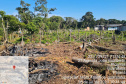 Força-tarefa no litoral identifica mais de 100 hectares de desmatamento ilegal  -  curitiba, 03/08/2021  -  Foto: IAT
