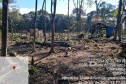 Força-tarefa no litoral identifica mais de 100 hectares de desmatamento ilegal  -  curitiba, 03/08/2021  -  Foto: IAT