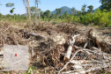Força-tarefa no litoral identifica mais de 100 hectares de desmatamento ilegal  -  curitiba, 03/08/2021  -  Foto: IAT