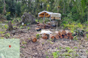 Força-tarefa no litoral identifica mais de 100 hectares de desmatamento ilegal  -  curitiba, 03/08/2021  -  Foto: IAT