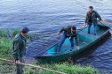 Força-tarefa no litoral identifica mais de 100 hectares de desmatamento ilegal  -  curitiba, 03/08/2021  -  Foto: IAT
