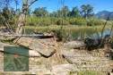 Força-tarefa no litoral identifica mais de 100 hectares de desmatamento ilegal  -  curitiba, 03/08/2021  -  Foto: IAT
