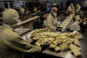 Além de atender o país todo, a Vapza exporta seus produtos para 12 países. Foto: Ari Dias/AEN