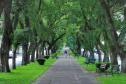 Paraná Pay já destinou mais de R$ 4 milhões para fomentar o turismo. Foto: José Fernando Ogura/AEN