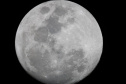 Parque da Ciência faz live sobre Saturno e Júpiter, com transmissão de imagens de telescópio. Foto:SEED