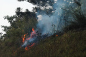 A estiagem severa que atinge o Paraná, aliada ao clima seco característico da estação e a vegetação ressecada por causa das geadas acendem um alerta no Estado para a ocorrência de incêndios florestais, com risco muito alto em todas as regiões.Foto:Gilson Abreu/AEN