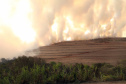 A estiagem severa que atinge o Paraná, aliada ao clima seco característico da estação e a vegetação ressecada por causa das geadas acendem um alerta no Estado para a ocorrência de incêndios florestais, com risco muito alto em todas as regiões.Foto:Gilson Abreu/AEN