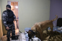 Denúncias de crimes e casos de violência na região Central da Capital embasaram a Ação Integrada de Fiscalização Urbana (AIFU), em parceria com a 1ª Companhia do 12º Batalhão da PM (12º BPM), a deflagrarem a primeira edição da operação Centro Seguro, nesta quinta-feira (19/08).   -  Curitiba, 19/08/2021  -  Foto: SESP-PR