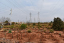 O programa Cultivar Energia oficializou a destinação de uma área sob linhas de alta tensão em Umuarama, Noroeste do Estado, para a produção de alimentos e geração de renda através do cultivo de hortas comunitárias.  -  Curitiba, 20/08/2021  -  Foto: Rakelly Calliari/Copel