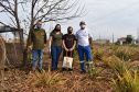 O programa Cultivar Energia oficializou a destinação de uma área sob linhas de alta tensão em Umuarama, Noroeste do Estado, para a produção de alimentos e geração de renda através do cultivo de hortas comunitárias. Na foto, Maria_Carolina_e_Anto?nio,_com_o_facilitador_Milton_Figueiredo_(a?_esq)_e_o_te?cnico_de_seguranc?a_Walter_Luiz_(a?_direita)  -  Curitiba, 20/08/2021  -  Foto:  Rakelly Calliari/Copel