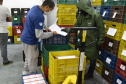 Estado distribui 445.388 vacinas contra a Covid-19 e 49.750 medicamentos para intubação; veja divisão. Foto: Américo Antonio/SESA