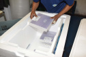 Estado distribui 445.388 vacinas contra a Covid-19 e 49.750 medicamentos para intubação; veja divisão. Foto: Américo Antonio/SESA