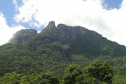 Parque Estadual Pico do Marumbi. Foto: Arnaldo Alves / AEN