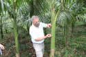 PARANA AGRO - Produçao de Palmito na cidade de Guaraquecaba no litoral do Estado. Na foto, Sebastião Bellettini, gerente regional da Emater em Paranaguá. 13/09/21 - Foto: Geraldo Bubniak/AEN