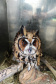 No Dia Mundial da Fauna e Dia da Defesa da Fauna, nesta quarta-feira (22), a Secretaria do Desenvolvimento Sustentável e do Turismo (Sedest) reforçou o serviço prestado no Estado de atendimento aos animais silvestres.  -  Curitiba, 23/09/2021  -  Foto: Alessandro Vieira/AEN