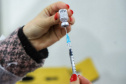 Mais de 8,3 milhões de paranaenses já começaram sua imunização contra a Covid-19, o equivalente a 95,28% da população adulta imunizada com ao menos uma dose (D1 ou dose única). O marco foi ultrapassado nesta sexta-feira (24), mostrando a alta adesão do Estado à campanha de vacinação. Foram alvo da campanha 8.308.620 pessoas acima de 18 anos, de um total estimado em 8.720.953 no Estado.Foto: José Fernando Ogura/AEN