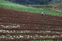 Reconhecer as melhores práticas econômicas, ambientais e sociais do agronegócio paranaense. Esse é o objetivo do prêmio Orgulho da Terra, lançado pelo Instituto de Desenvolvimento Rural do Paraná-Iapar-Emater (IDR-Paraná), em parceria com o Grupo Ric e o sistema Ocepar.  Foto: José Fernando Ogura/AEN