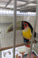 Sedest cria campanha em redes sociais para proteger a fauna silvestre  -  Curitiba, 24/09/2021  -  Foto: IAT 