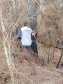 Programa de Voluntariado do IAT leva paranaenses ao Parque Estadual Vale do Codó
.Foto:IAT